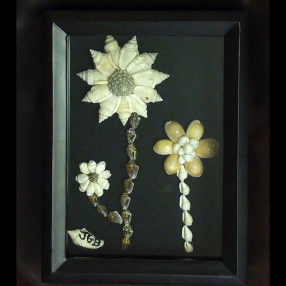 Franed Picture shell wall art 5x7inches - Picture 6 of 6